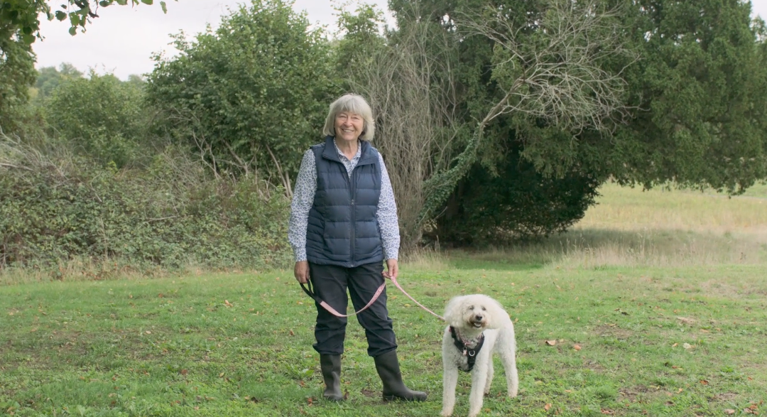 Elysian Residences, for the pet lover