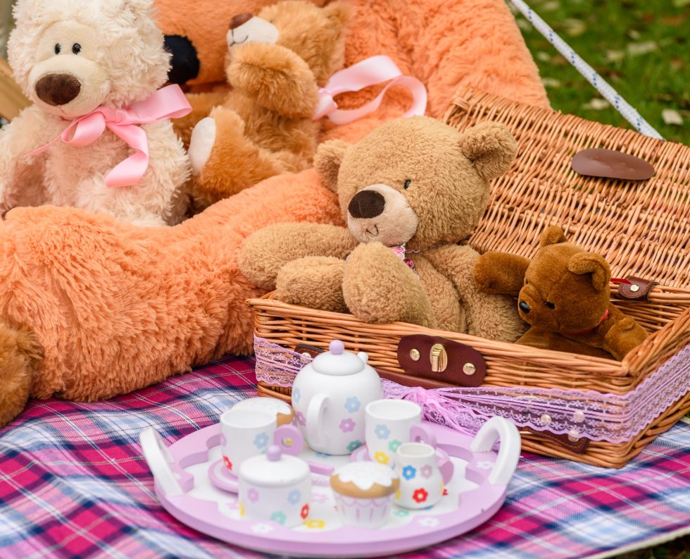 Teddy Bears Picnic | Elysian Residences